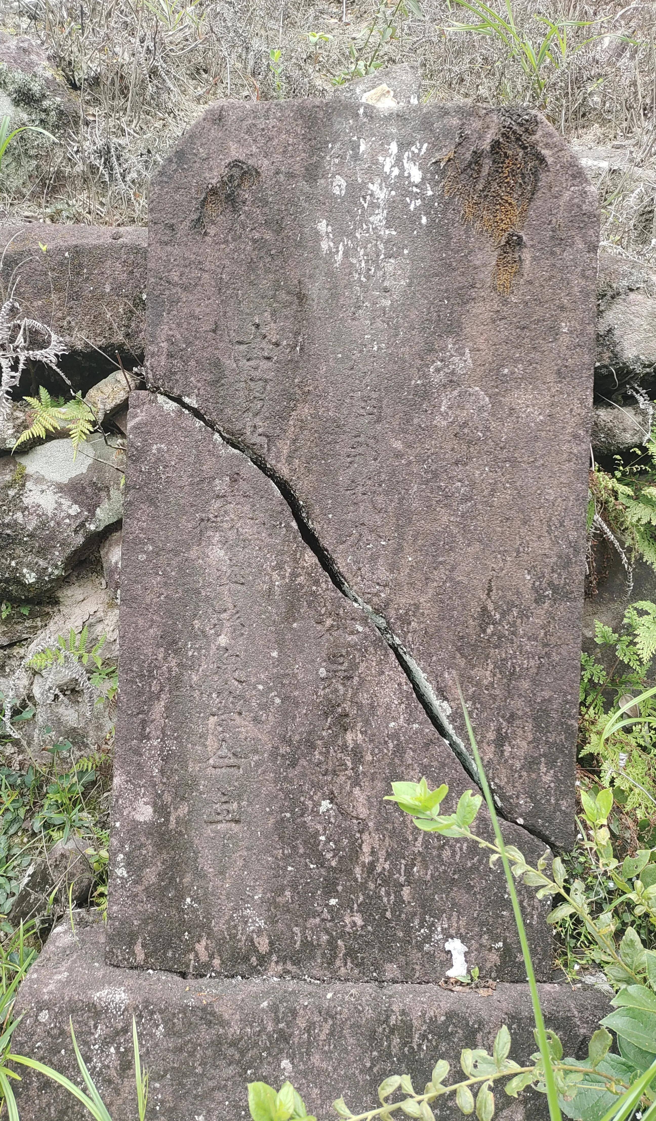 泰明 坟墓图片