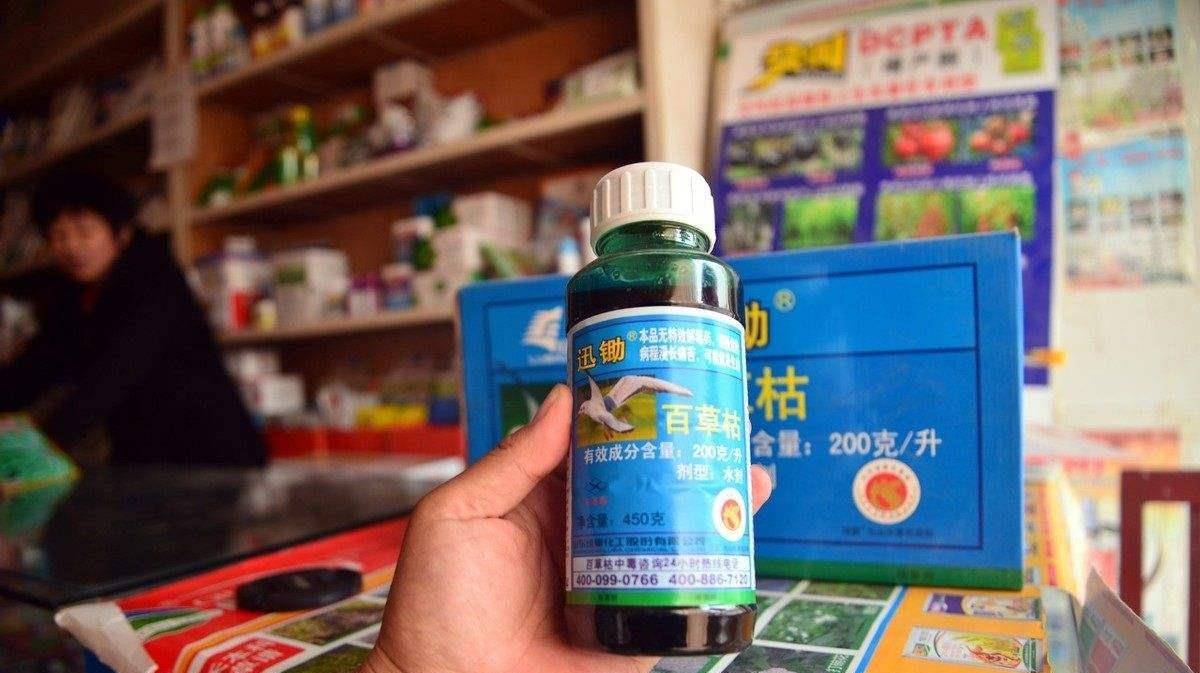 百草枯女孩最新消息图片