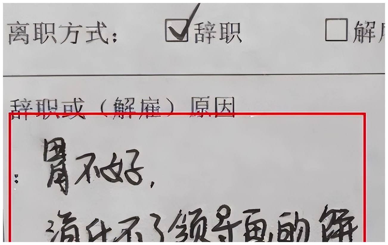 00后"辞职信"走红,辞职理由言简意赅,老板:多少给我留点面子