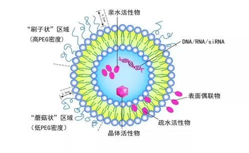dmg-peg-n3 1,2-二肉豆蔻酰-rac-甘油-3-聚乙二醇-叠氮 azide-peg-dmg