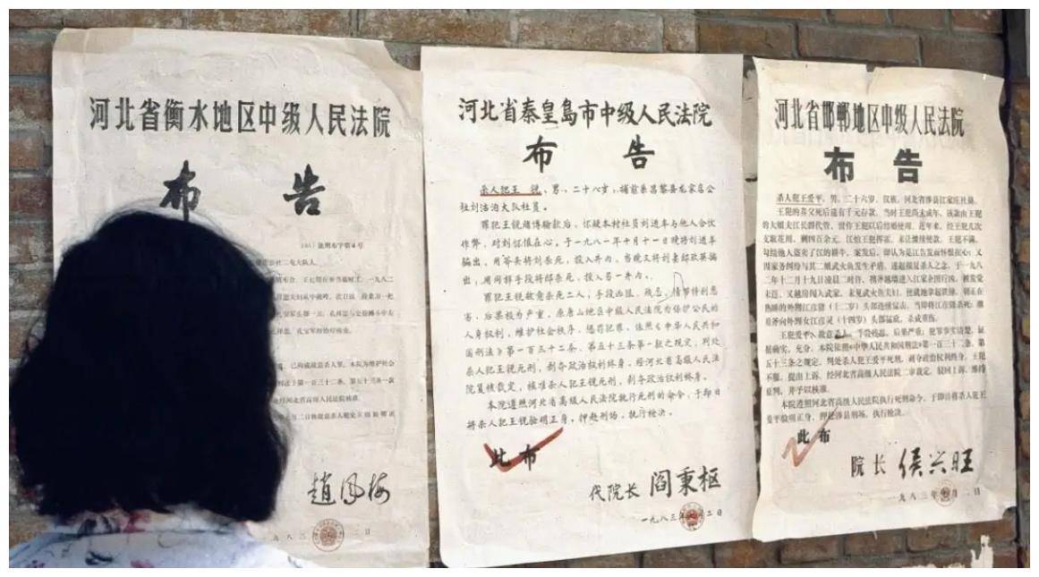 还有一个问题很明显,那就是持枪作案的问题.