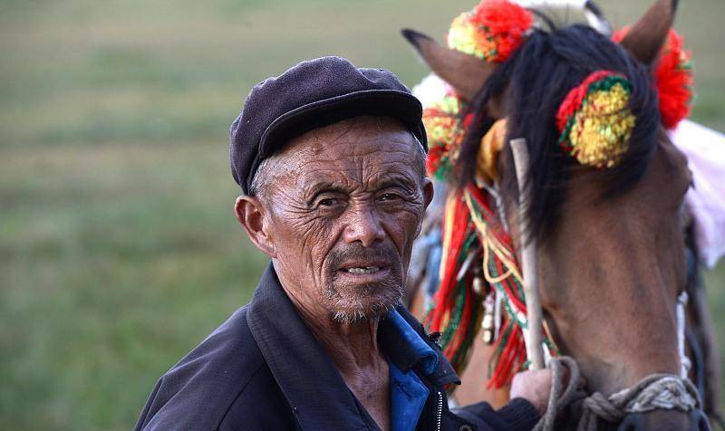 历史上最著名的水西马是朱元璋的坐骑"飞越峰",这匹宝马本来是贵州