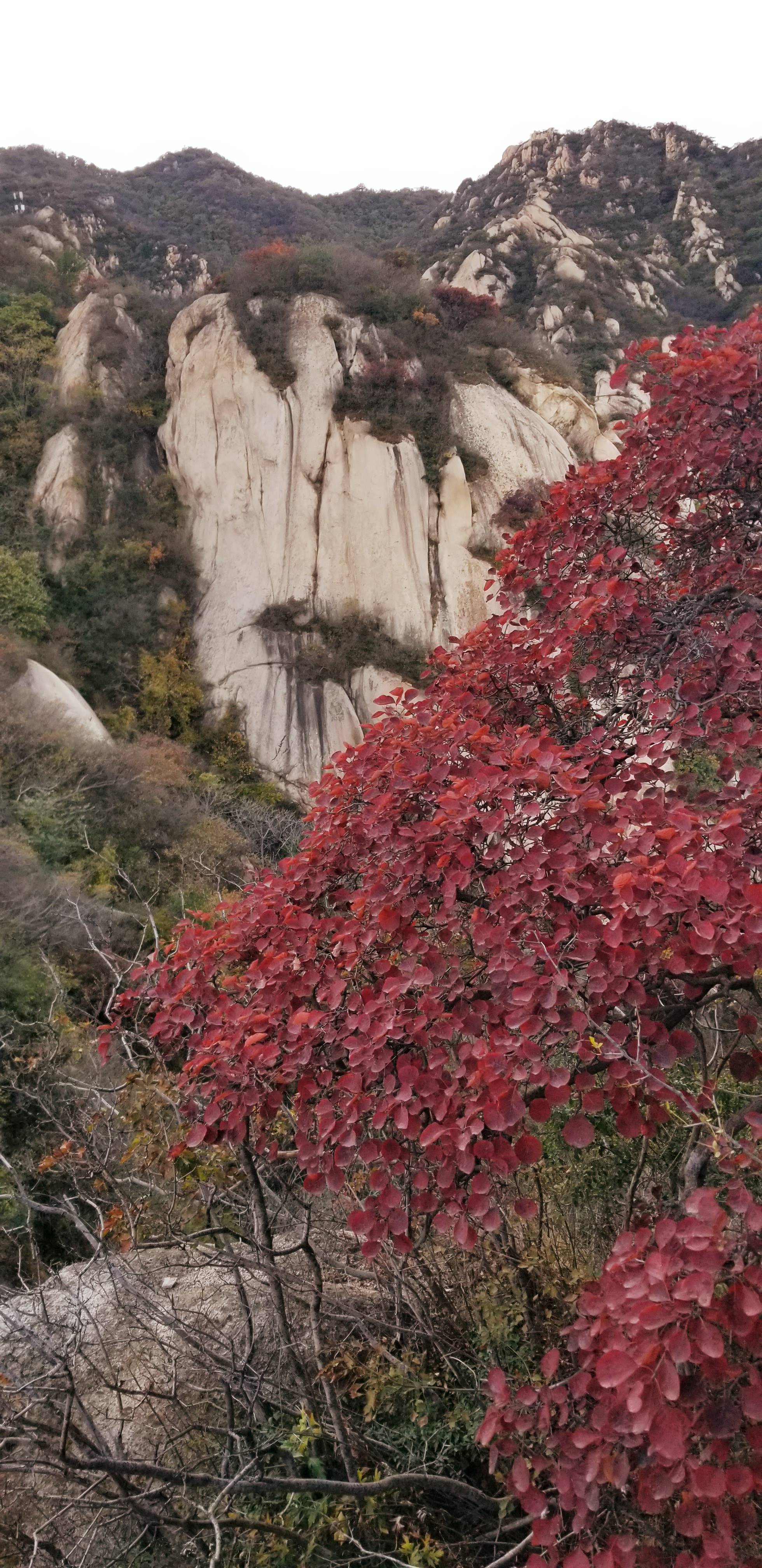 红黄山图片