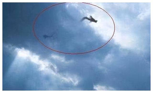 1995年,安徽百人目击"巨蟒渡劫","成神"到底是真是假?