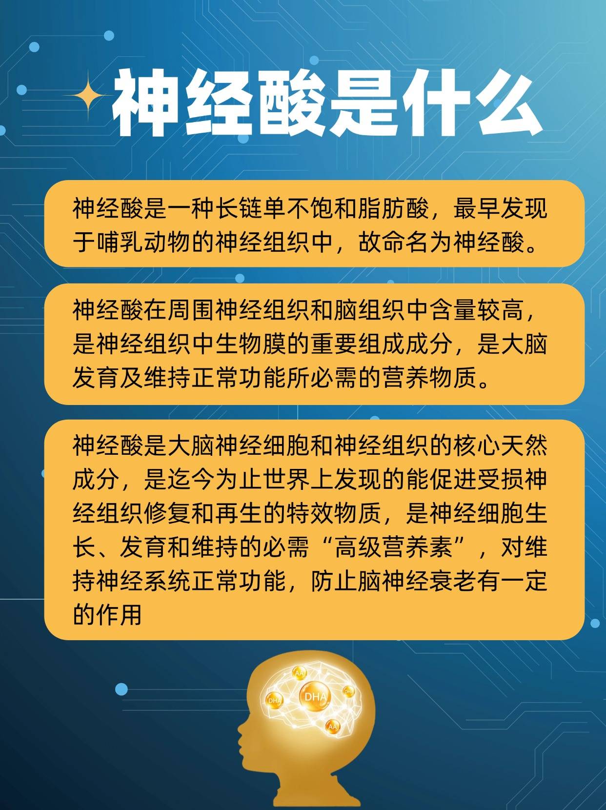 学习通大脑神经奥秘答案（尔雅大脑的奥秘神经科学导论章节测试题答案）