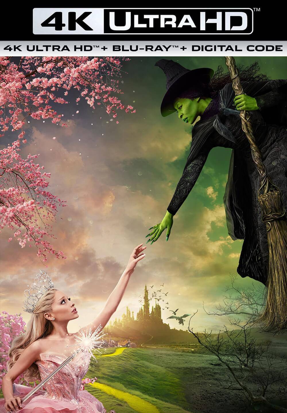 魔法坏女巫4k电影来了:友情与命运之旅