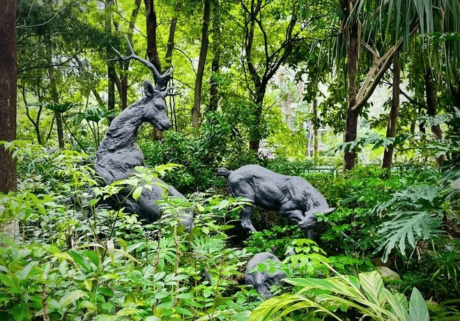 深圳华联城市山林售楼处首页网站-华联城市山林欢迎您-华联城市山林