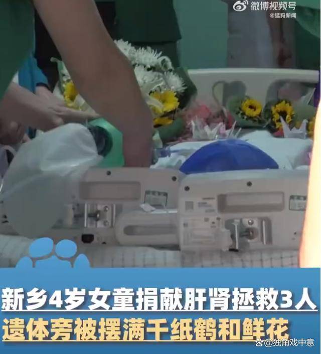 4岁小天使逝世,捐献器官救活3人,小小遗体旁被医护摆满千纸鹤