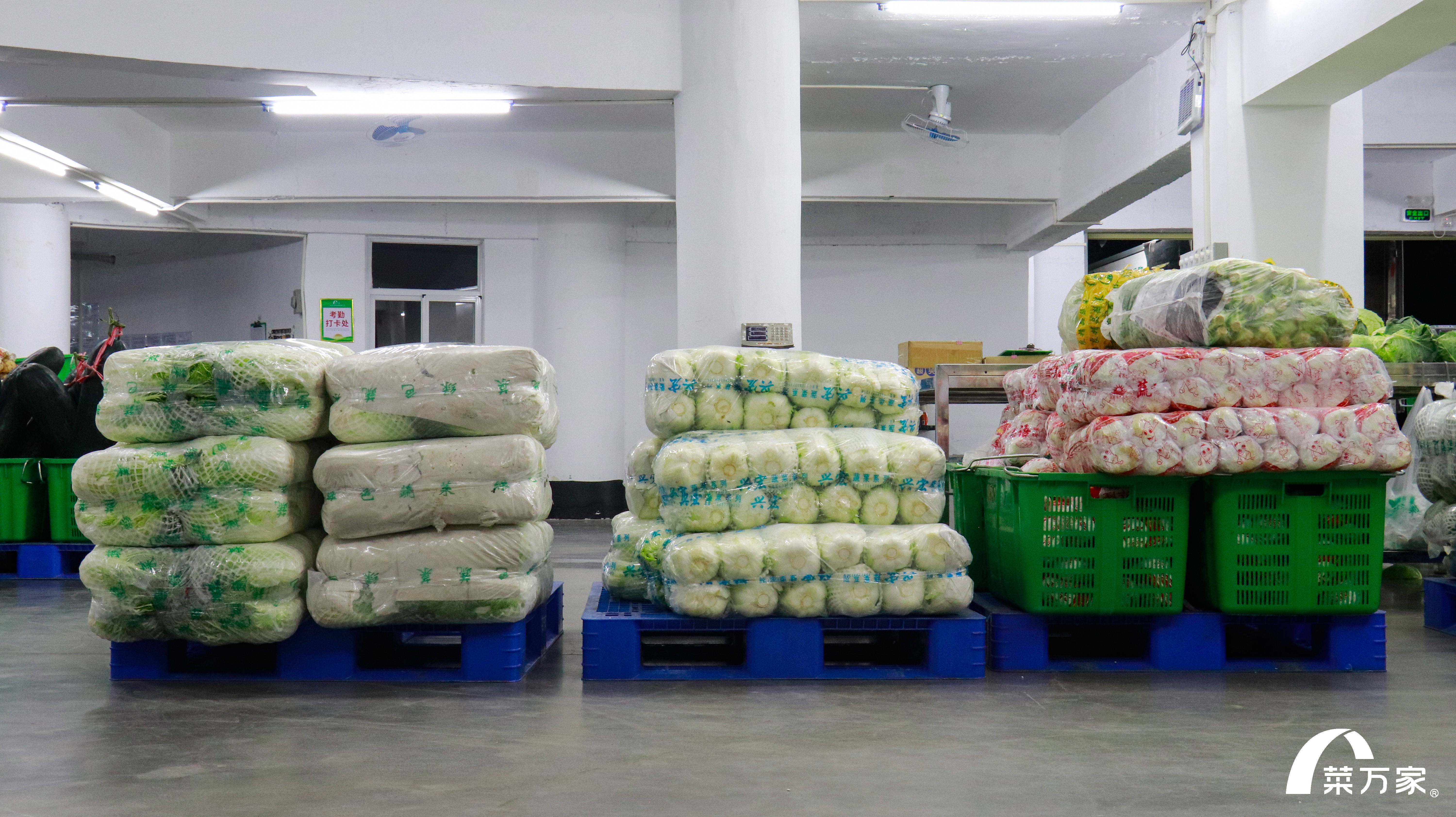 东莞菜万家蔬菜配送