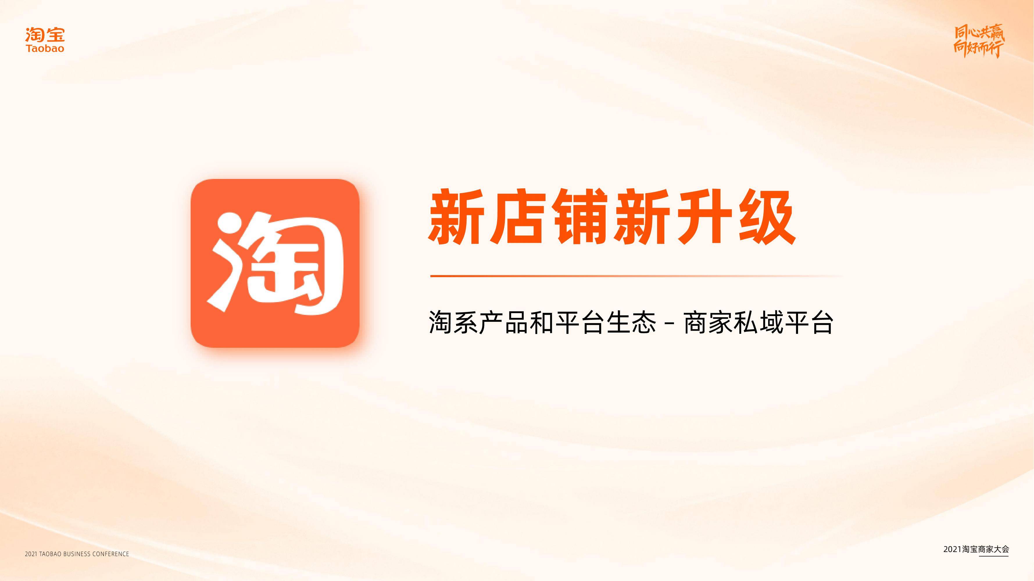 2021年淘宝商家私域双11备战指南【双十一】【淘宝】.