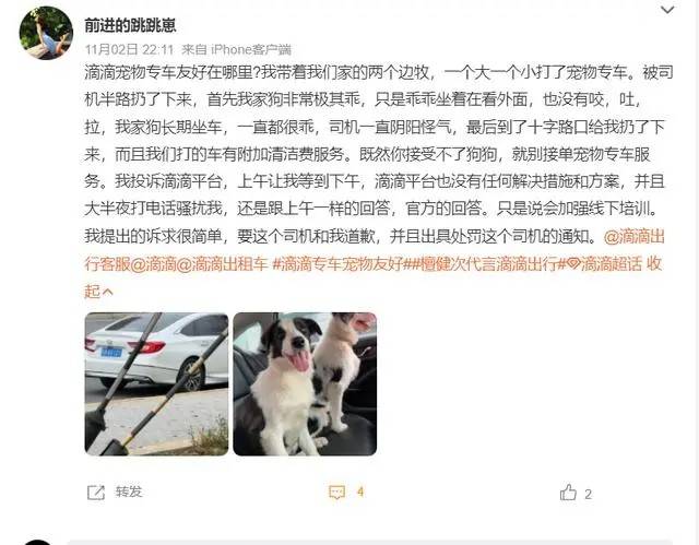 出行市场，终于开始“争抢”宠物了-锋巢网