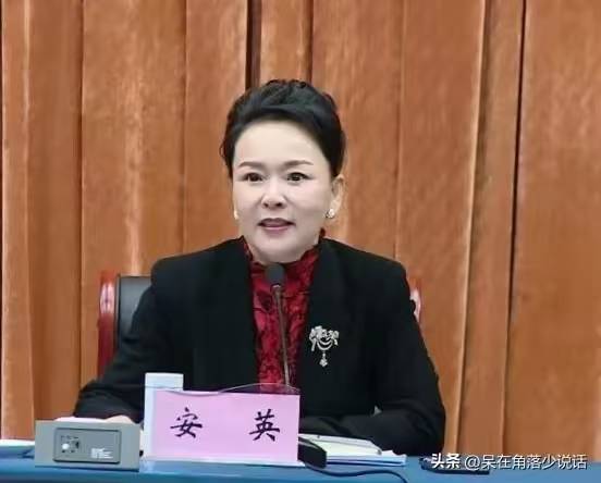 我为蓝海集团安英辩说几句