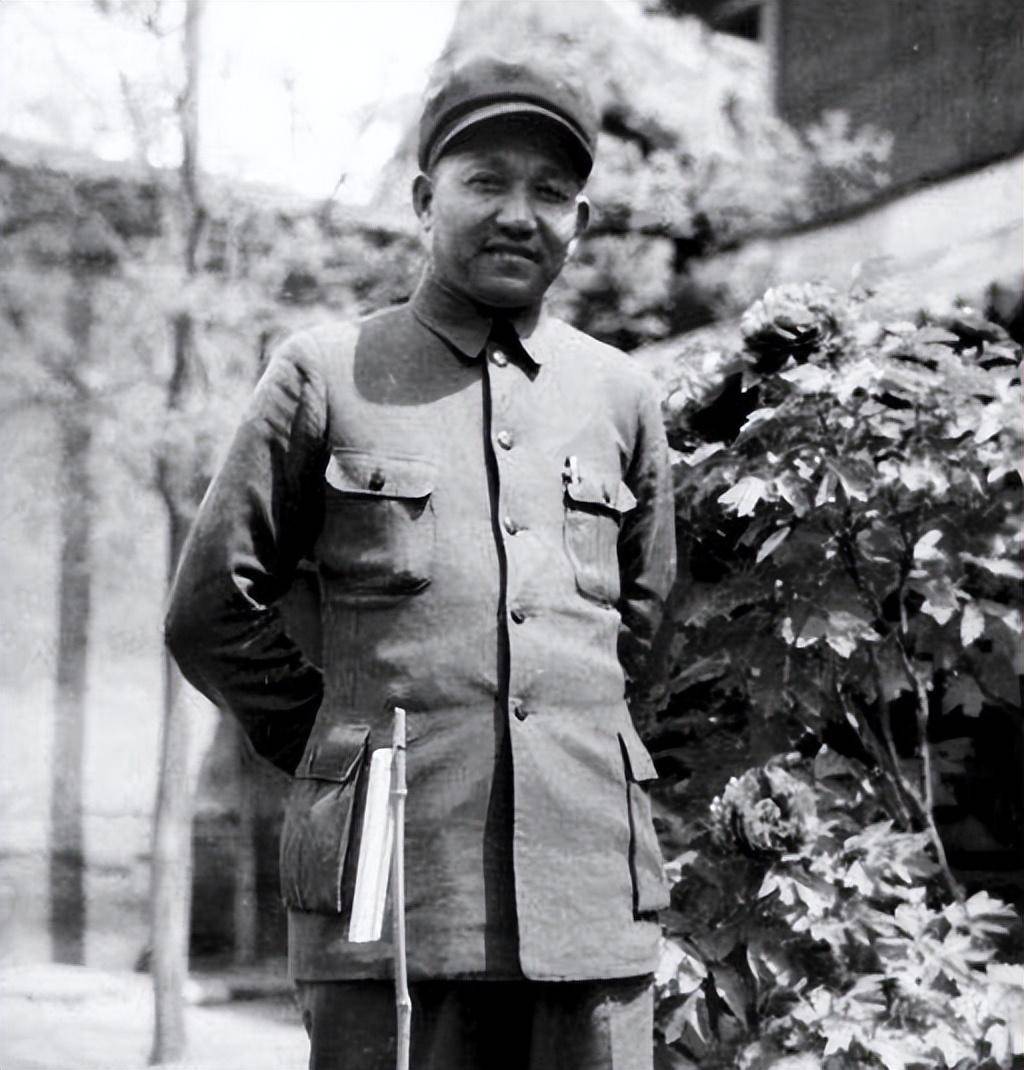 陈光两次接替林总指挥,授衔前选择自焚,林总:他不死,可授大将