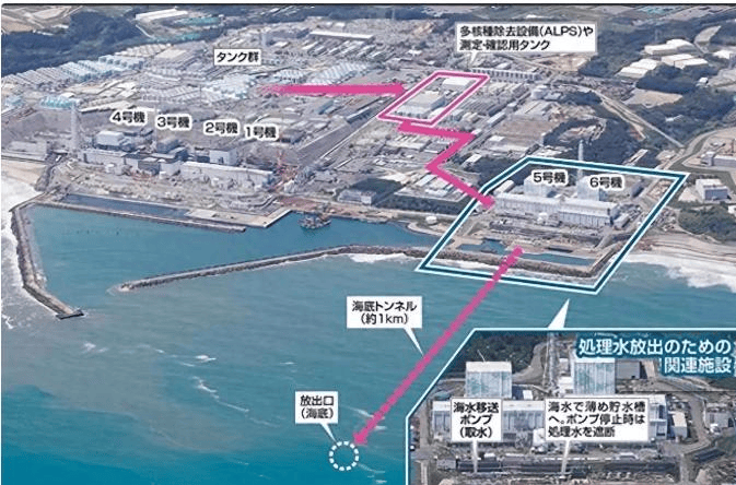 图片[3]-看了日本前11个月3337万外国游客，再看我国接待数量，实在想不到 -华闻时空