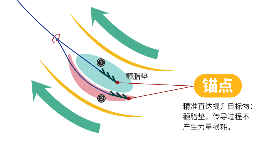 新力学，为微拉美提升新高度