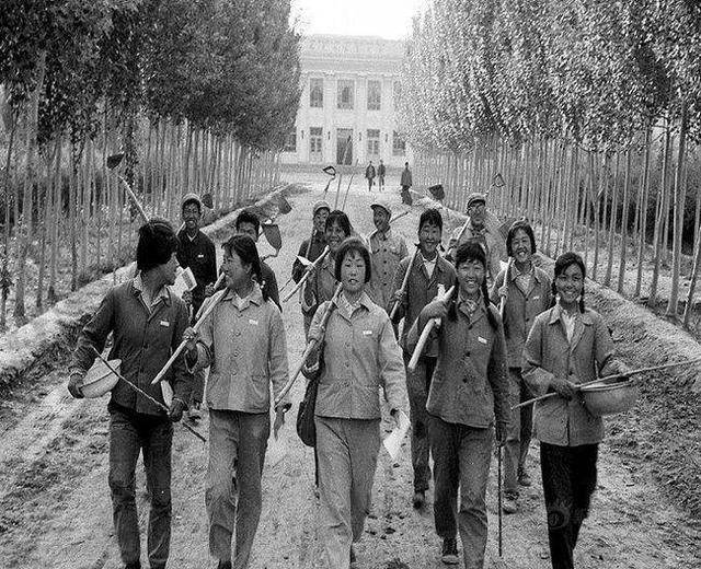 1974年,云南女知青离奇失踪,妈妈苦寻40年,指导员为重点嫌疑人