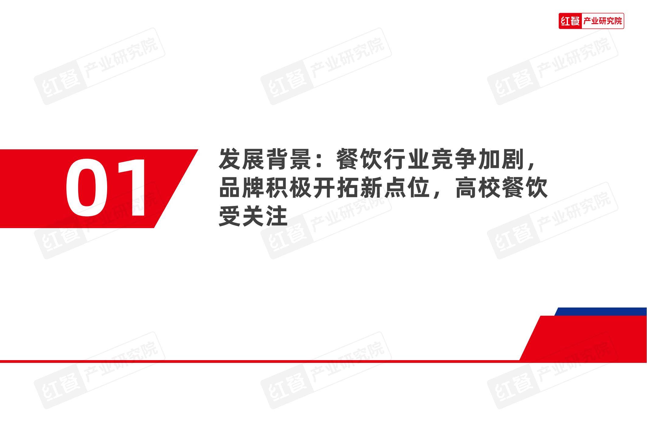 红餐研究院：2025中国高校餐饮业现状分析，中国高校餐饮研究报告-报告智库