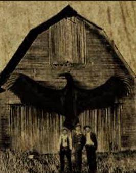 图片[9]-翼龙不是早已灭绝了吗？为何1864年美国人却抓到一只翼龙并拍下了照片？-华闻时空