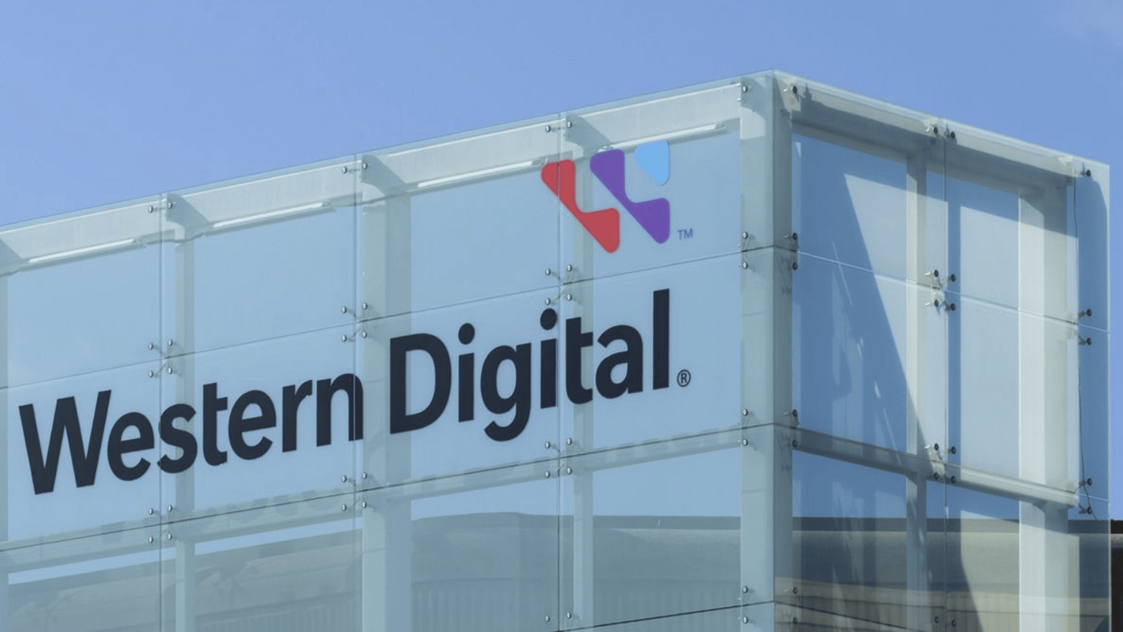 新年送自己的好礼，打工人、学生党都适用的西数My Passport移动硬盘