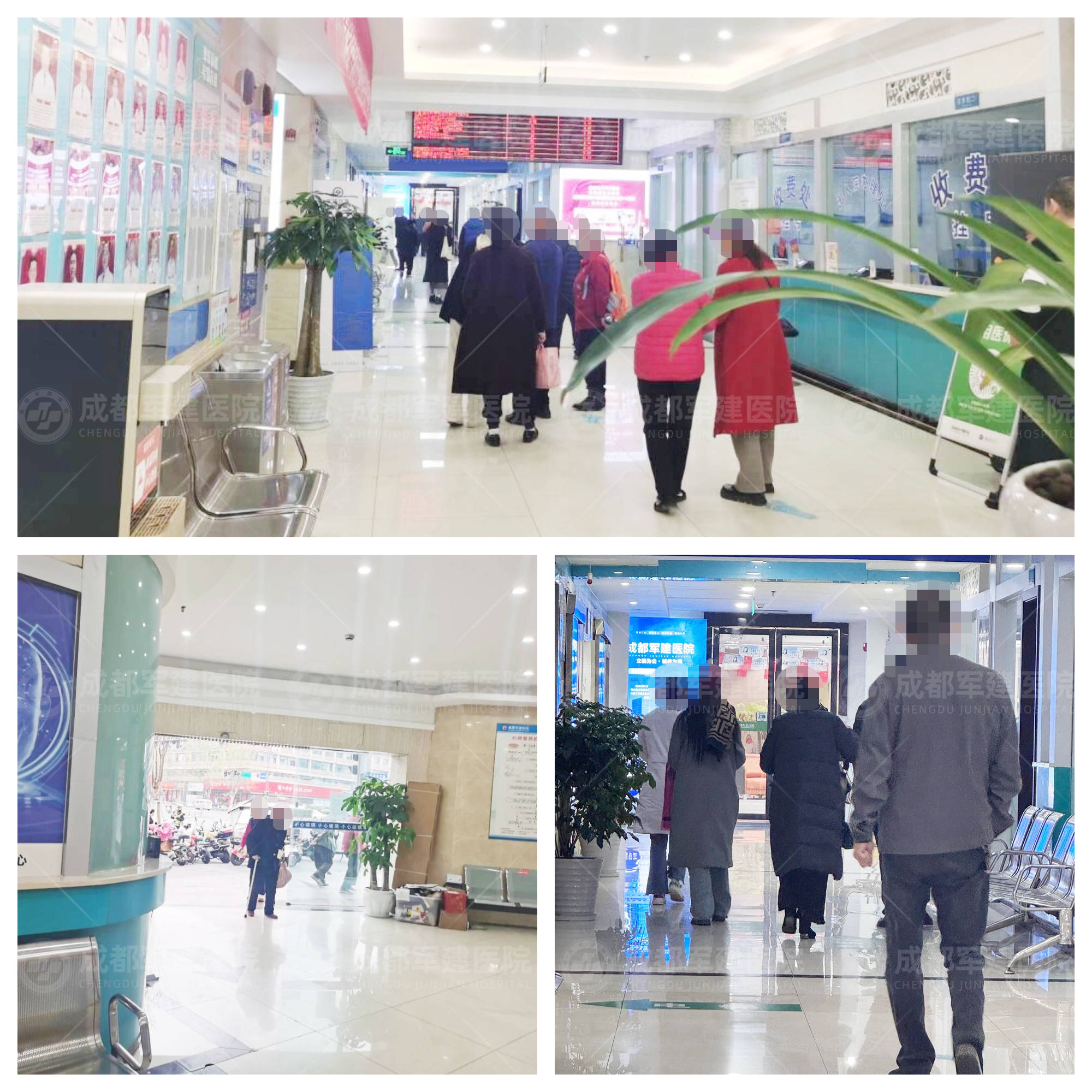 307医院全程代诊含挂号住院期间生活需求响应,贴心安排的简单介绍 307医院全程代诊含挂号住院期间生活需求响应,贴心安排的简单介绍