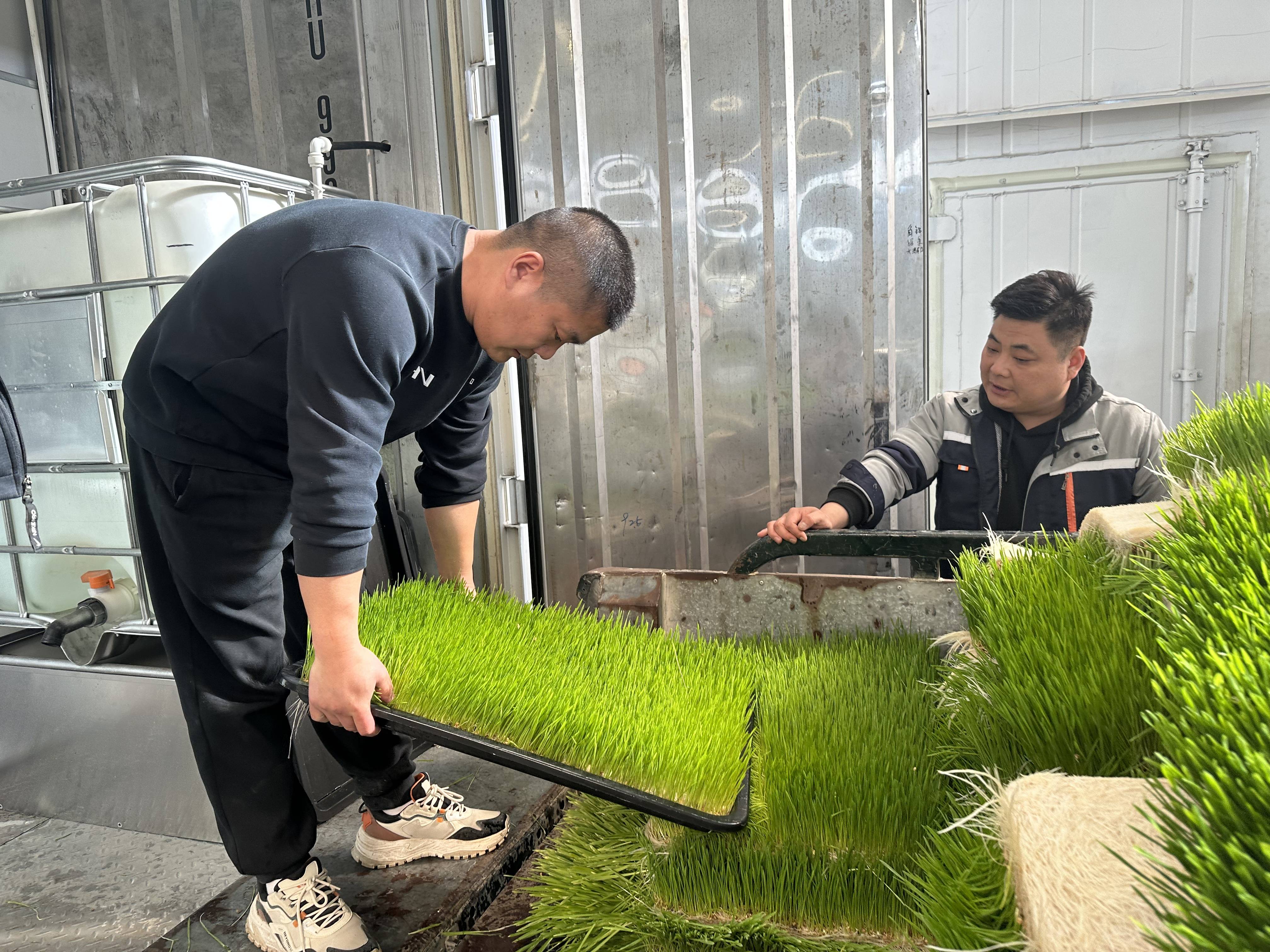 关于畜牧和林草的信息 关于畜牧和林草的信息（关于畜牧和林草的信息简报） 畜牧