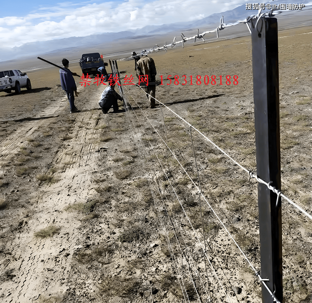 用于草原生态围封退牧铁丝网式围栏