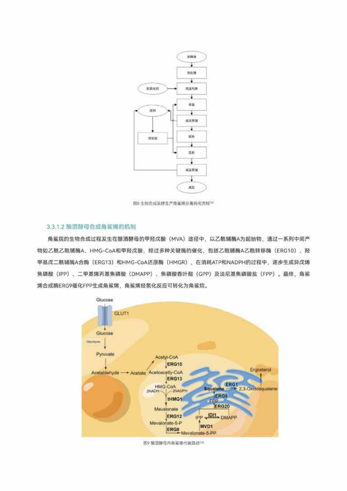 2025年角鲨烷行业趋势与市场机遇分析，全球角鲨烷市场规模是多少-报告智库