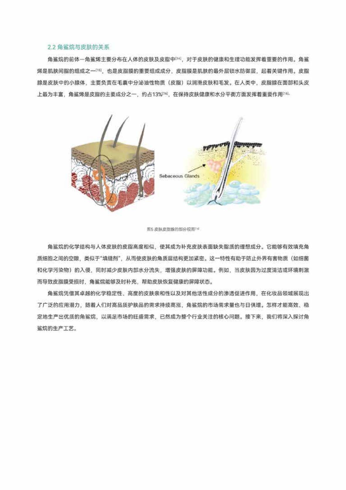 2025年角鲨烷行业趋势与市场机遇分析，全球角鲨烷市场规模是多少-报告智库