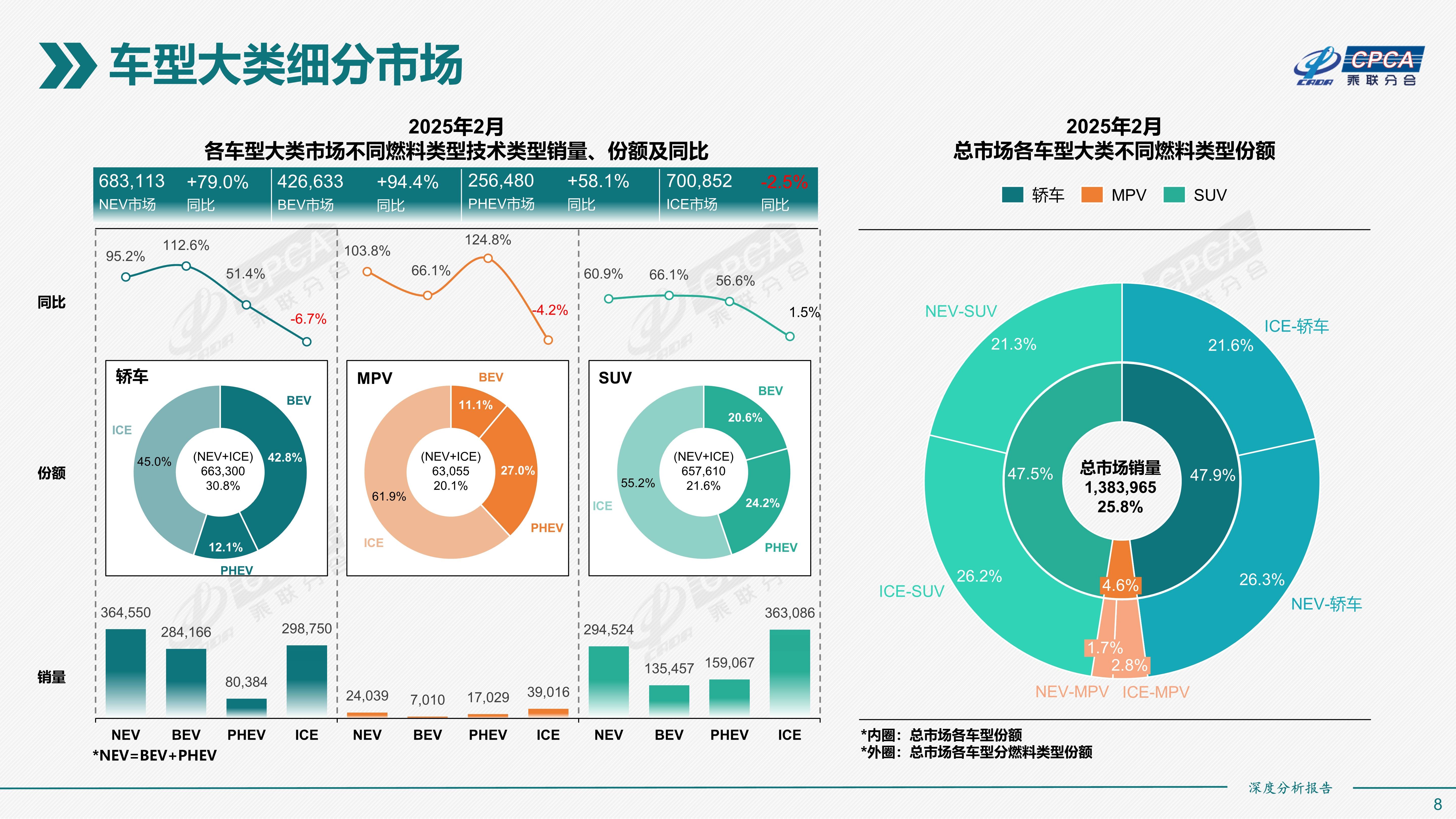 2025年2月份全国新能源乘用车市场深度分析报告