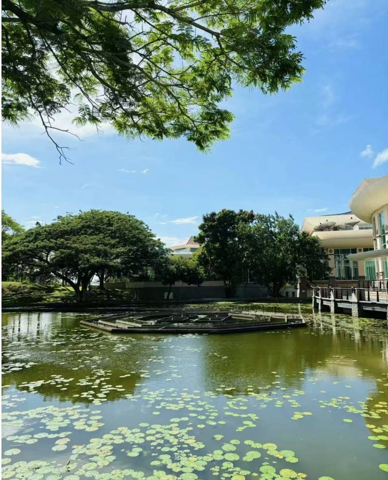 免签苏阿海沟宛如大自然的神秘宝藏独特的地质构造形成了