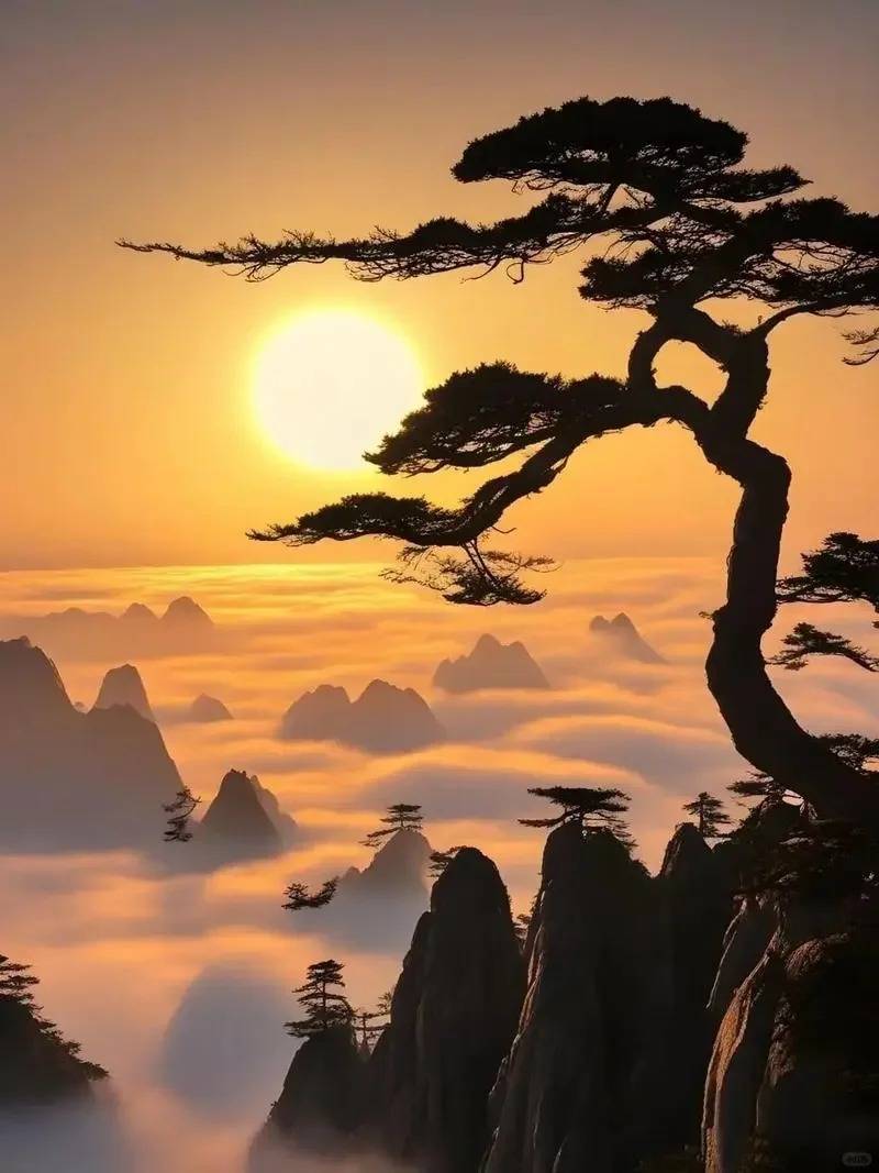 黄山旅游报团：开启你的逍遥山水之旅