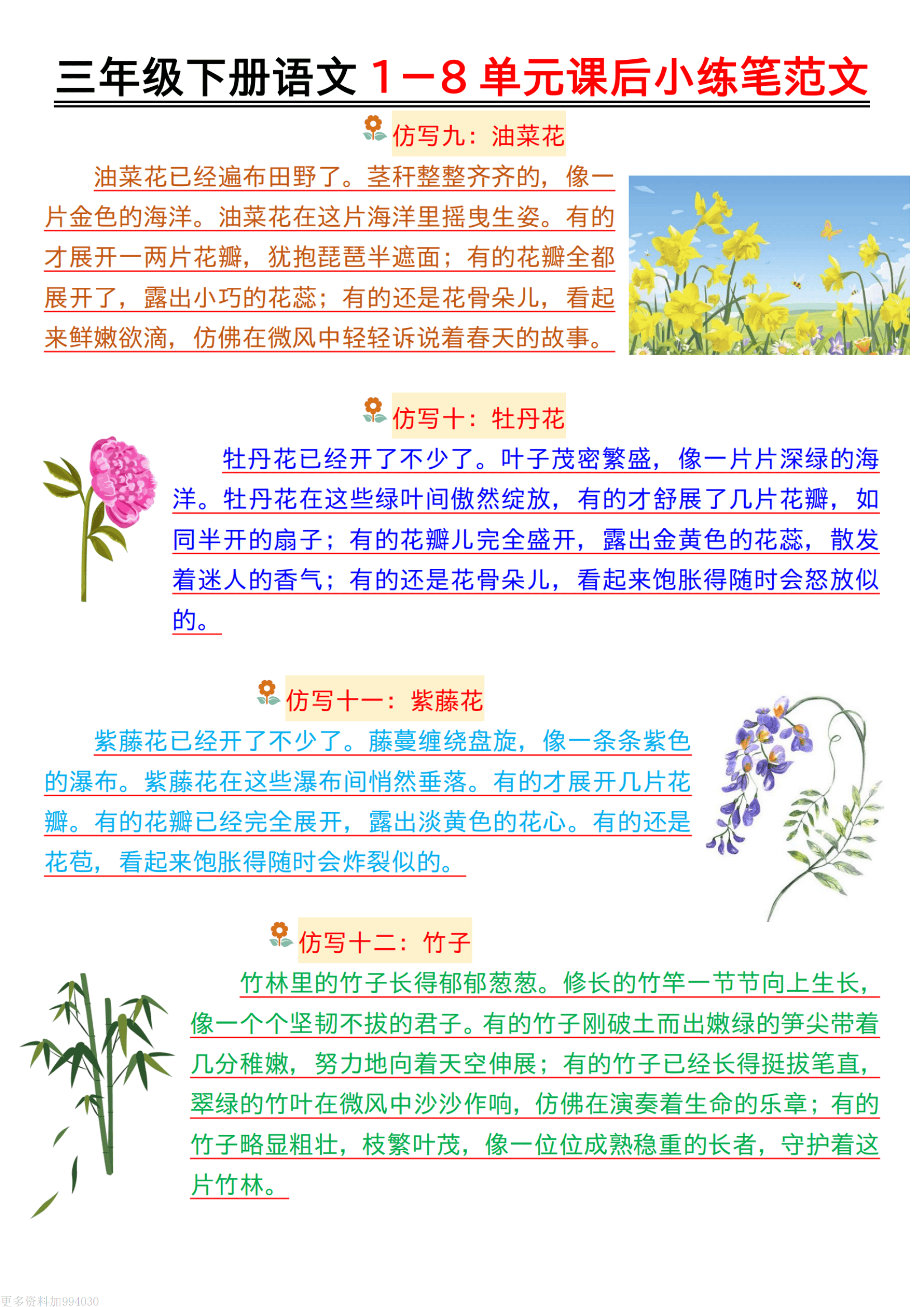 今天,我们就以三年级下册语文第一单元小练笔《荷花》为例,一起走进