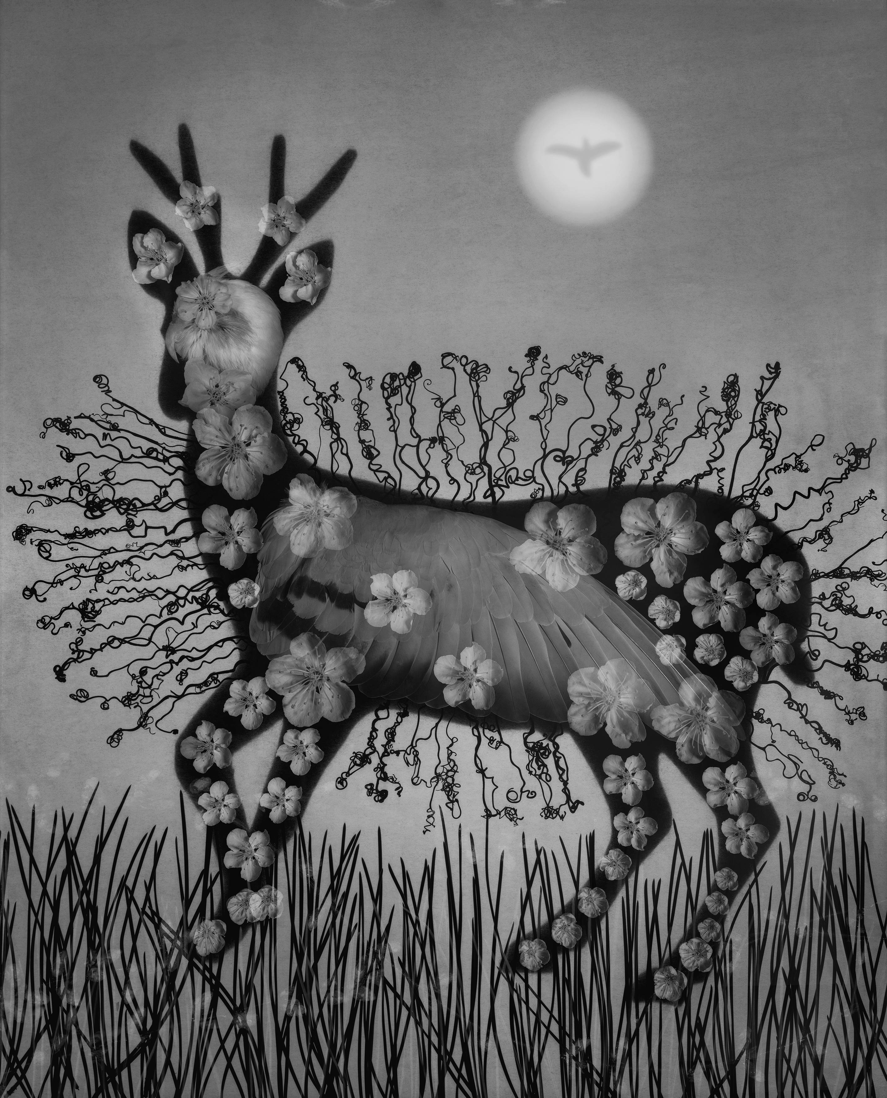 2025年上海利东拍卖｜相机影像春季专场：珍品云集6月重磅启幕