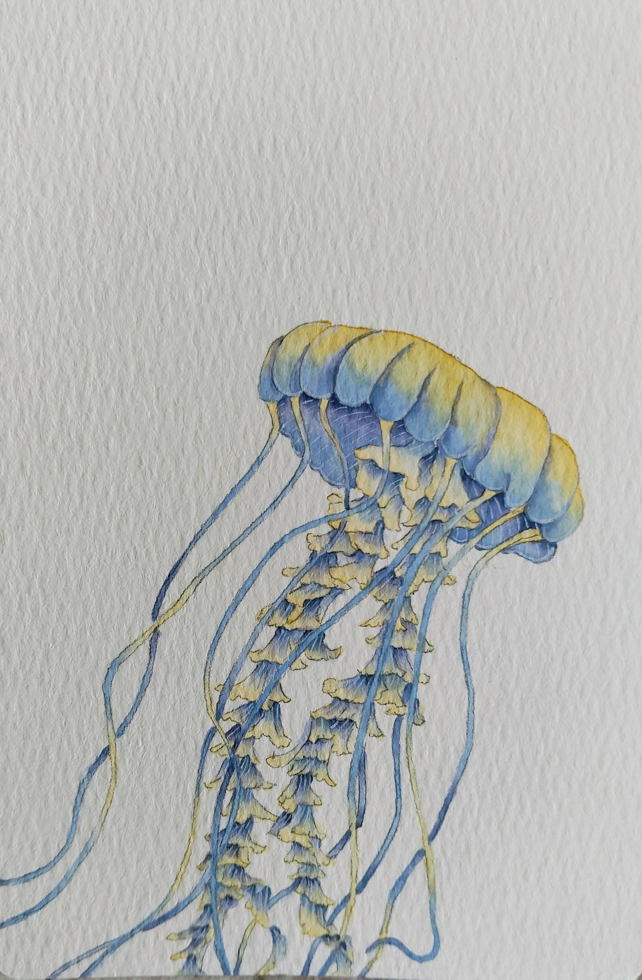 邂逅海洋的诗韵