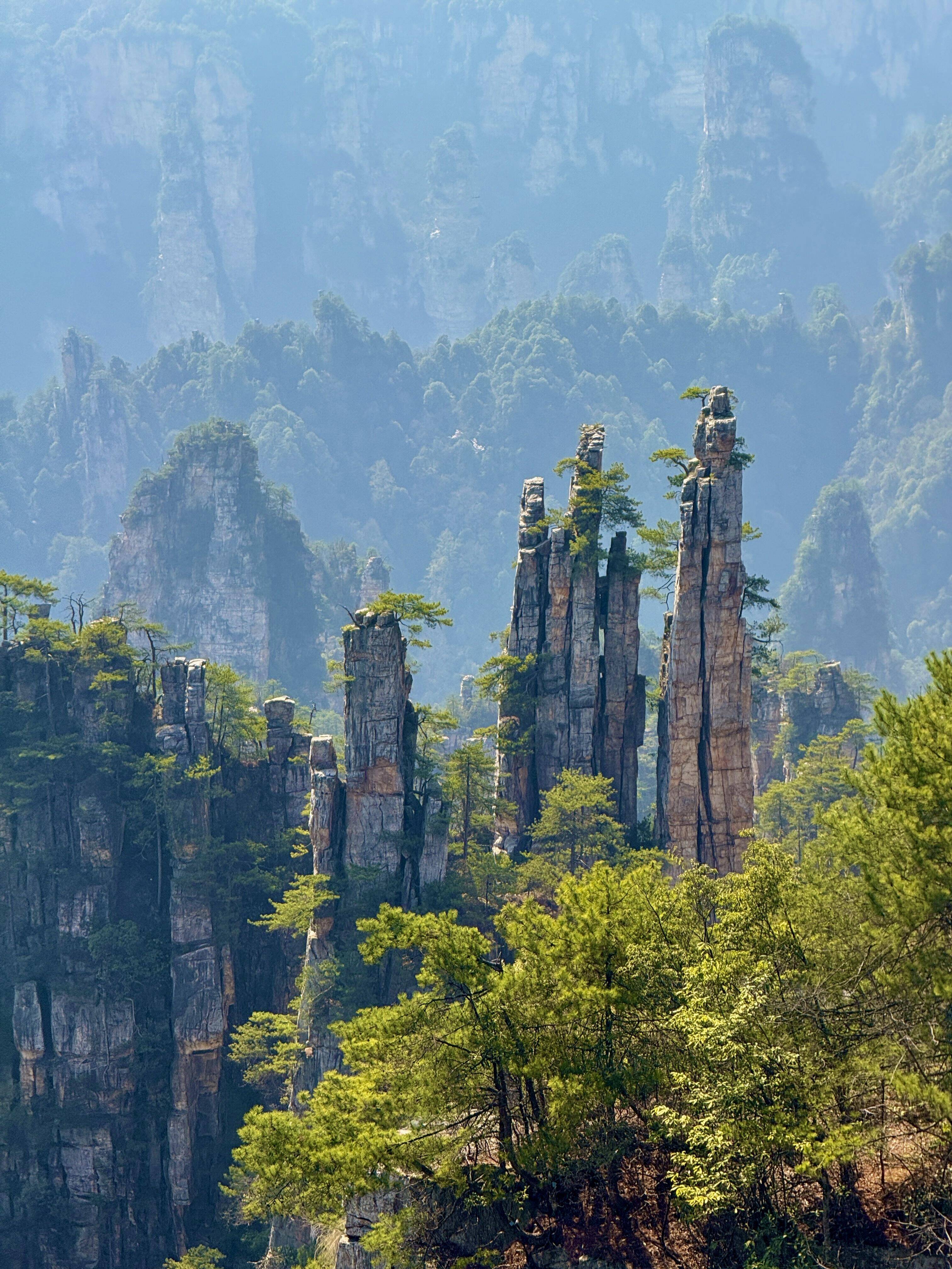 张家界旅行深度攻略:五天四晚行程分享,跟团游费用和亲身体验