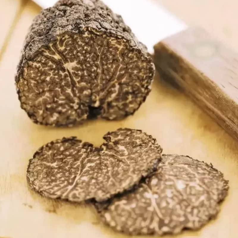 最新发布！黑松露采购？