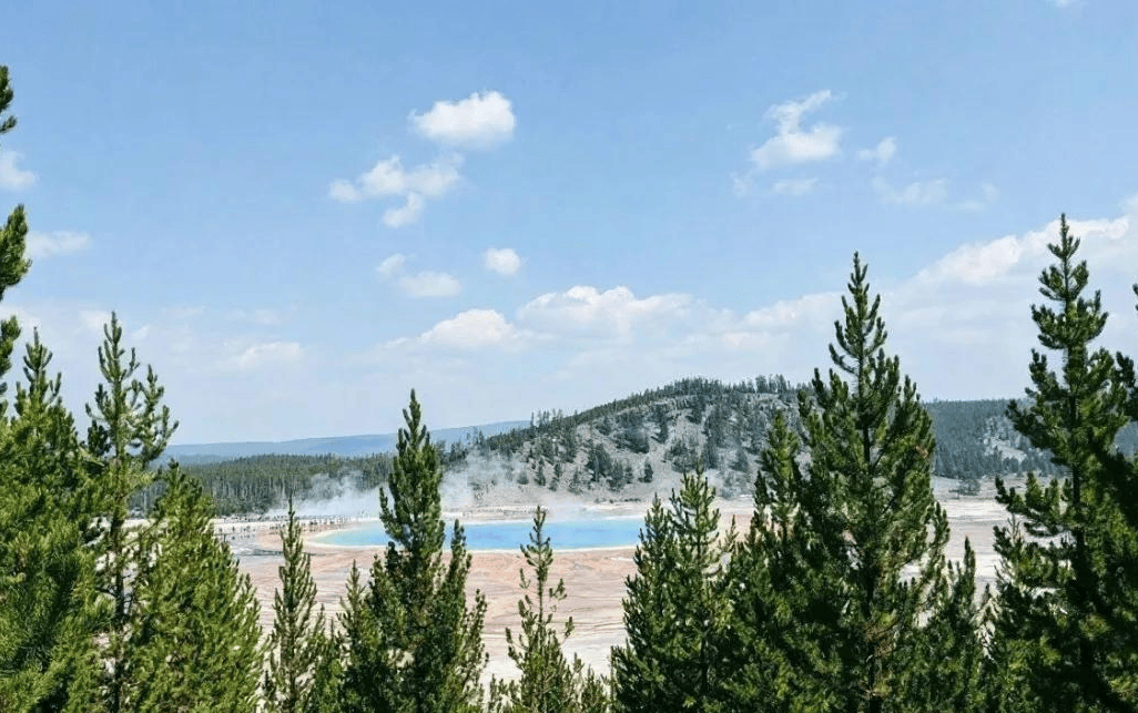 ea5f1183aaa345c58c1997866460fd33