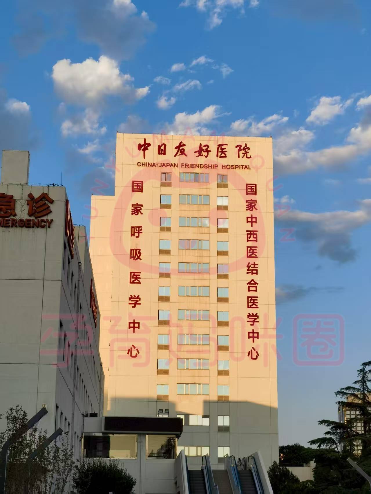 关于中日友好医院医院排队代办挂号覆盖北京全三甲的信息