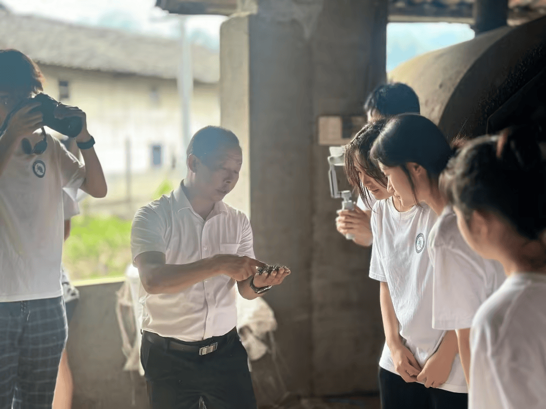 匠心守艺廿余载——赵奶奶的茶叶人生