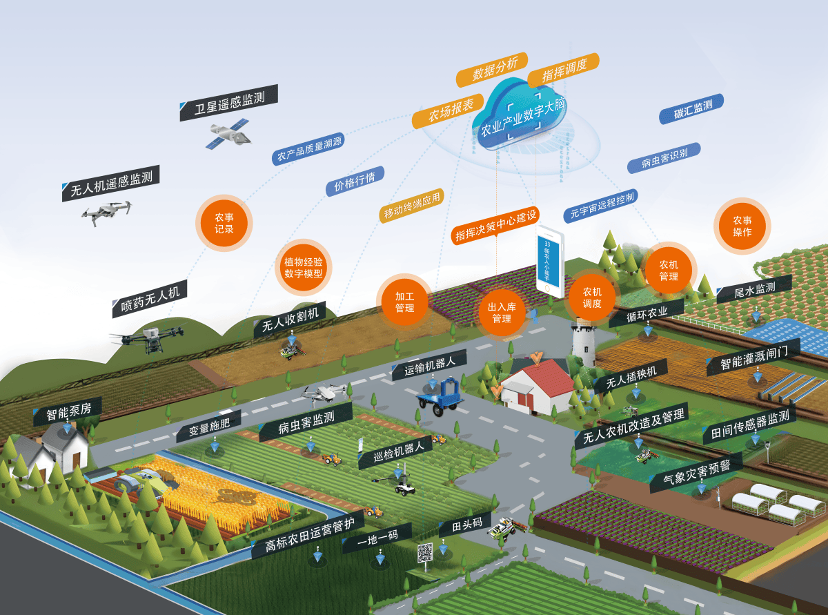 智慧农业的创新与可持续发展之路,国内智慧农业龙头企业引领