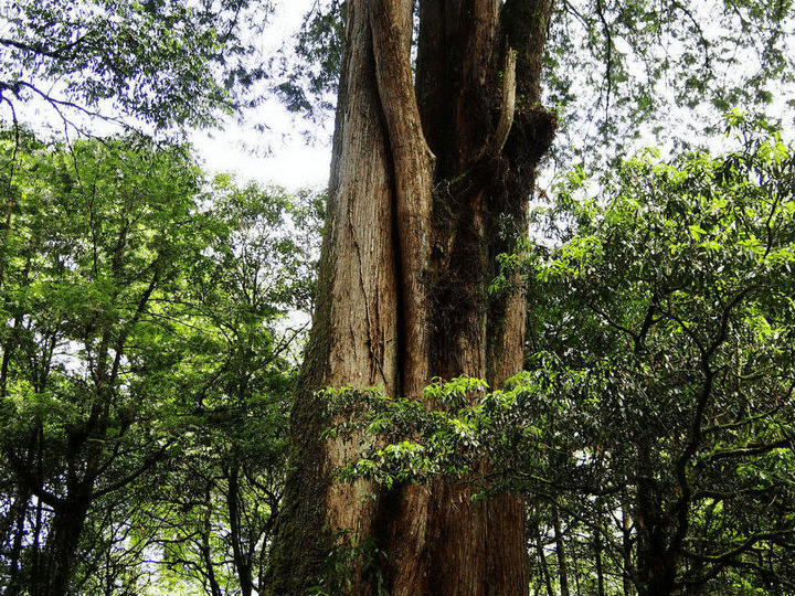 b6bc85804e9f4e2e8076a04160d2074b