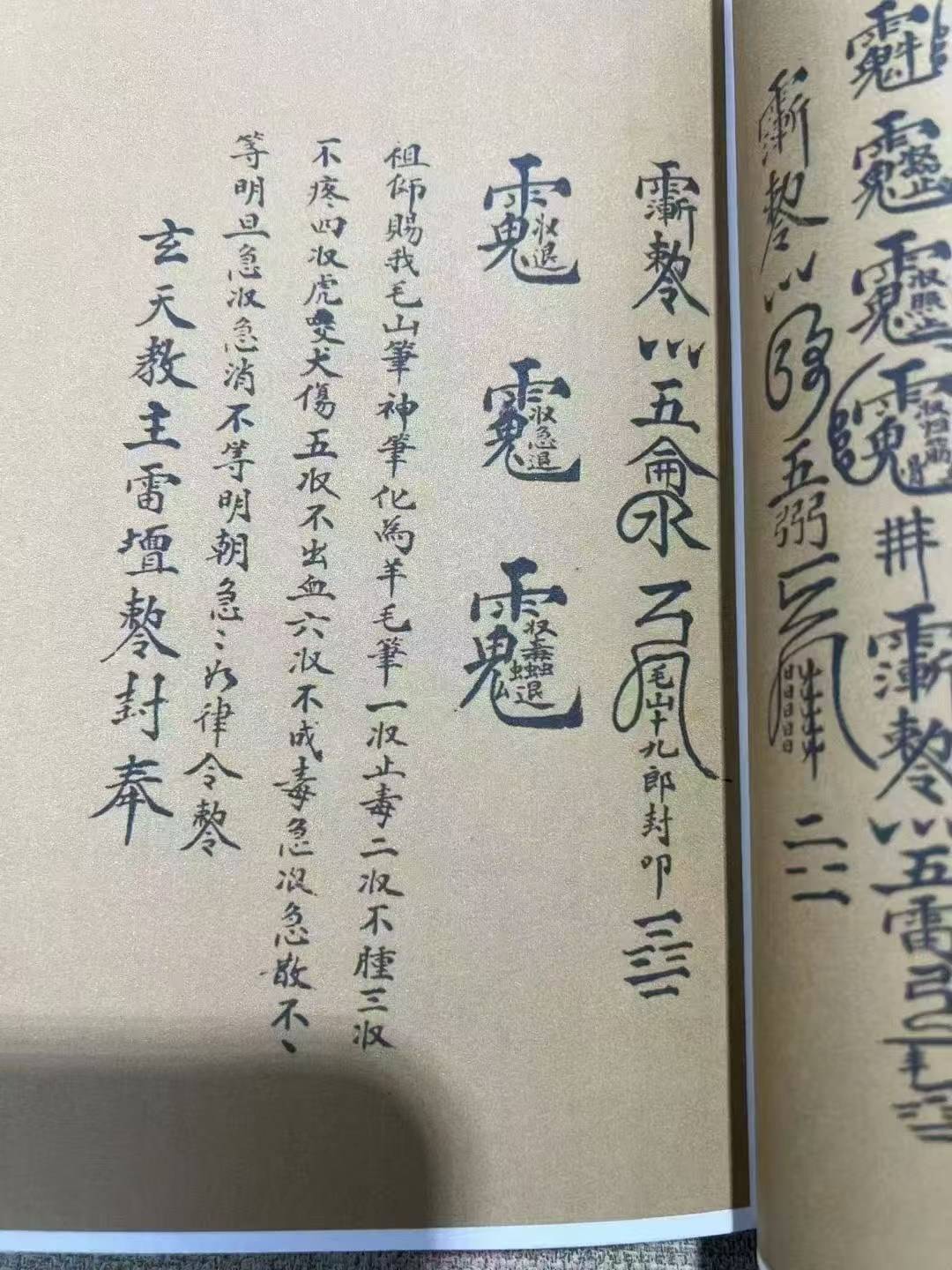 《梅山真传道医秘本》九龙化骨水符法 + 止血咒有多珍贵?