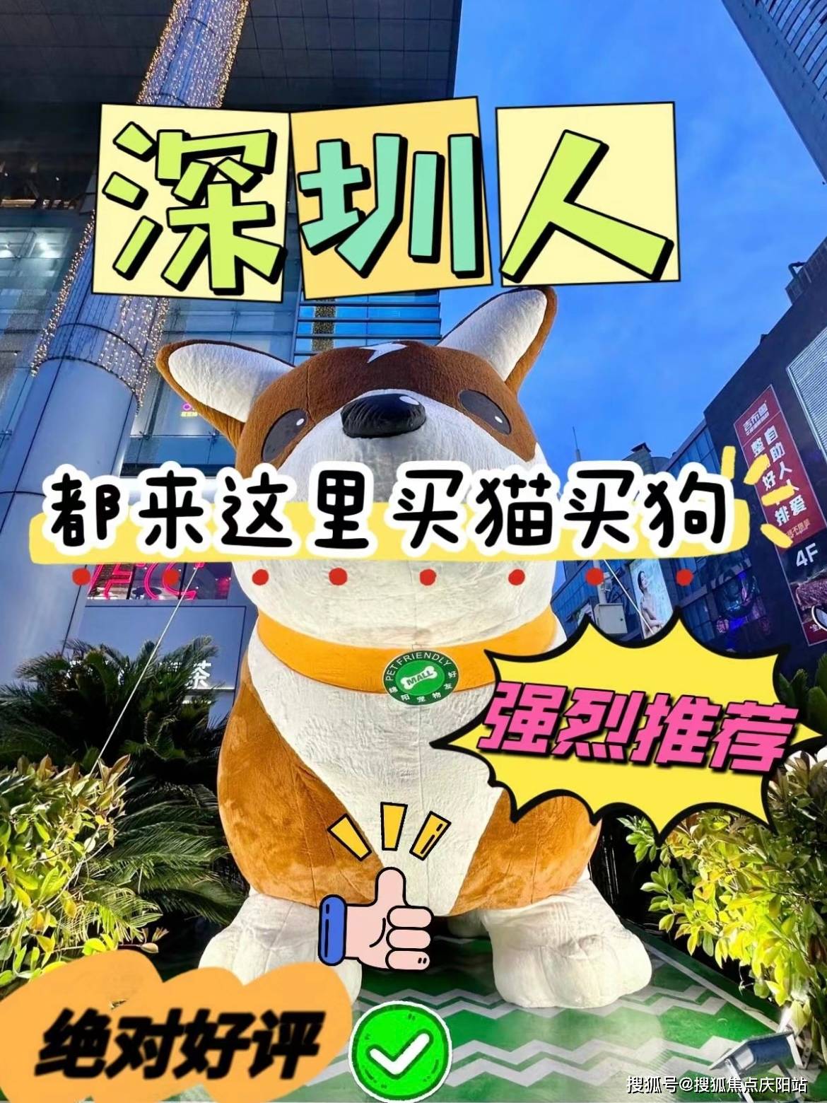 这里买宠物品质好靠谱
