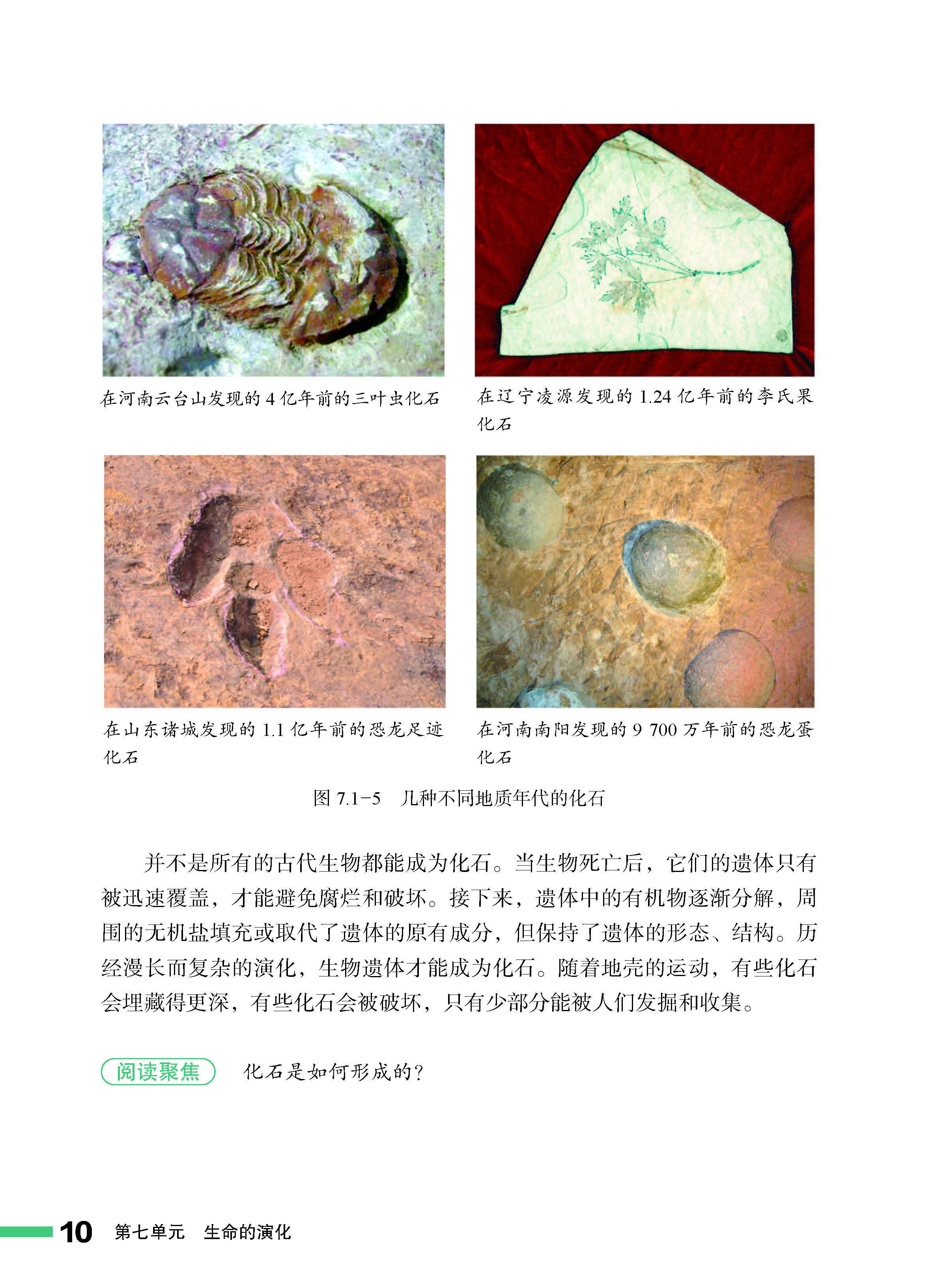 八下生物涂教材(生物八下教材答案)  第2张