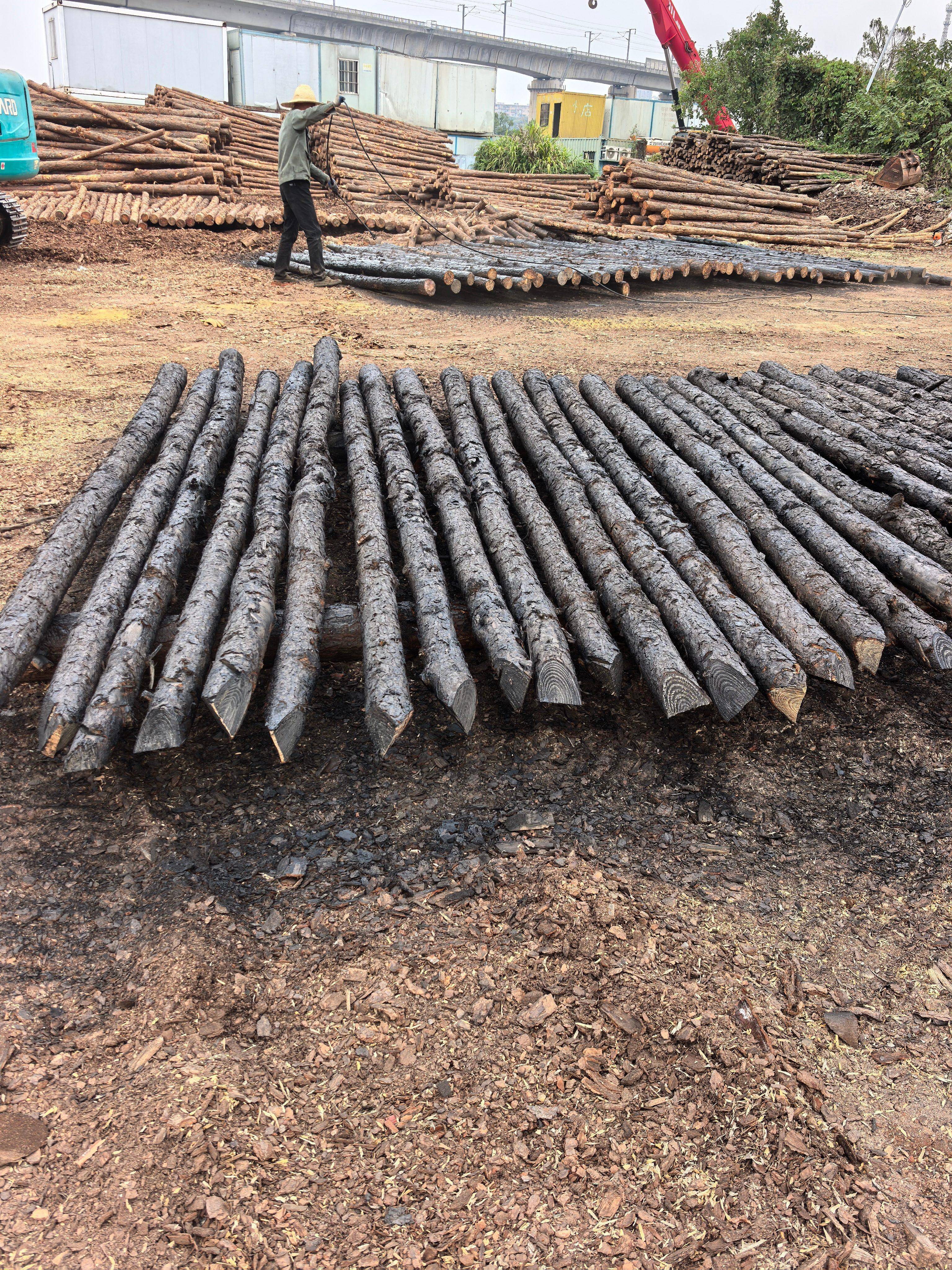 长沙宁松建材有限公司:太原/2米/益阳/广州/6米打桩松木桩专业供应商