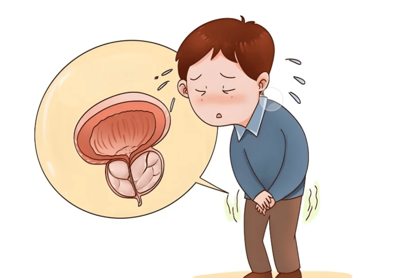 中年男性前列腺困扰多，养腺争议不断，真相究竟几何？