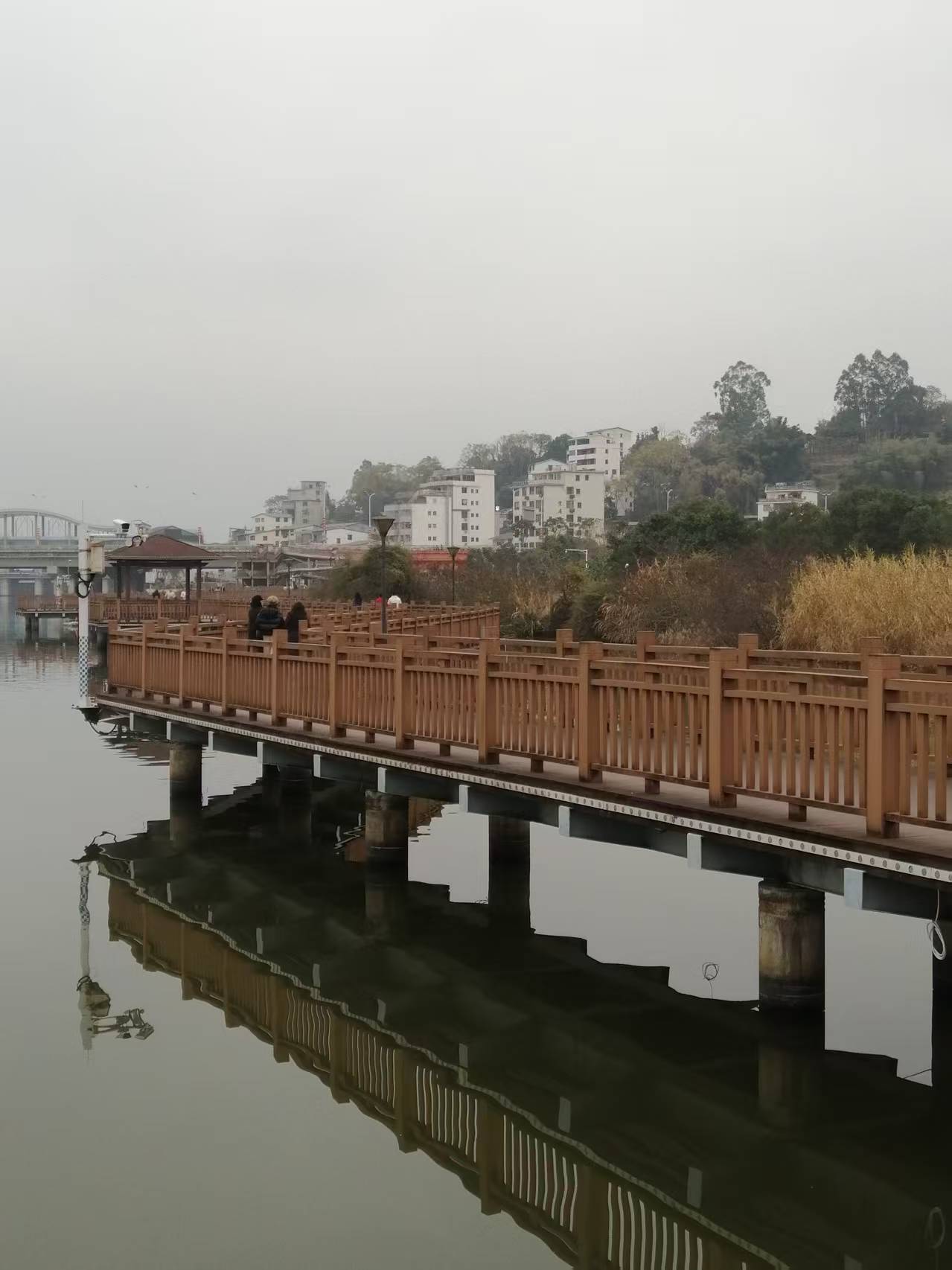 鹧鸪天 宁德南岸晨曲