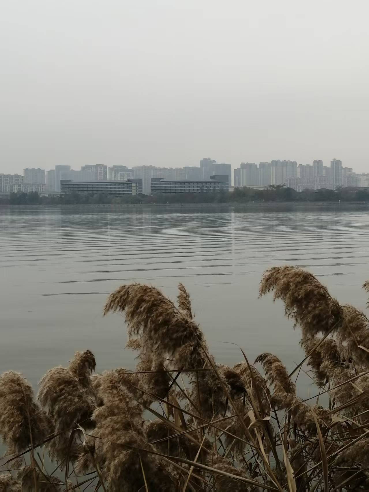 鹧鸪天 宁德南岸晨曲