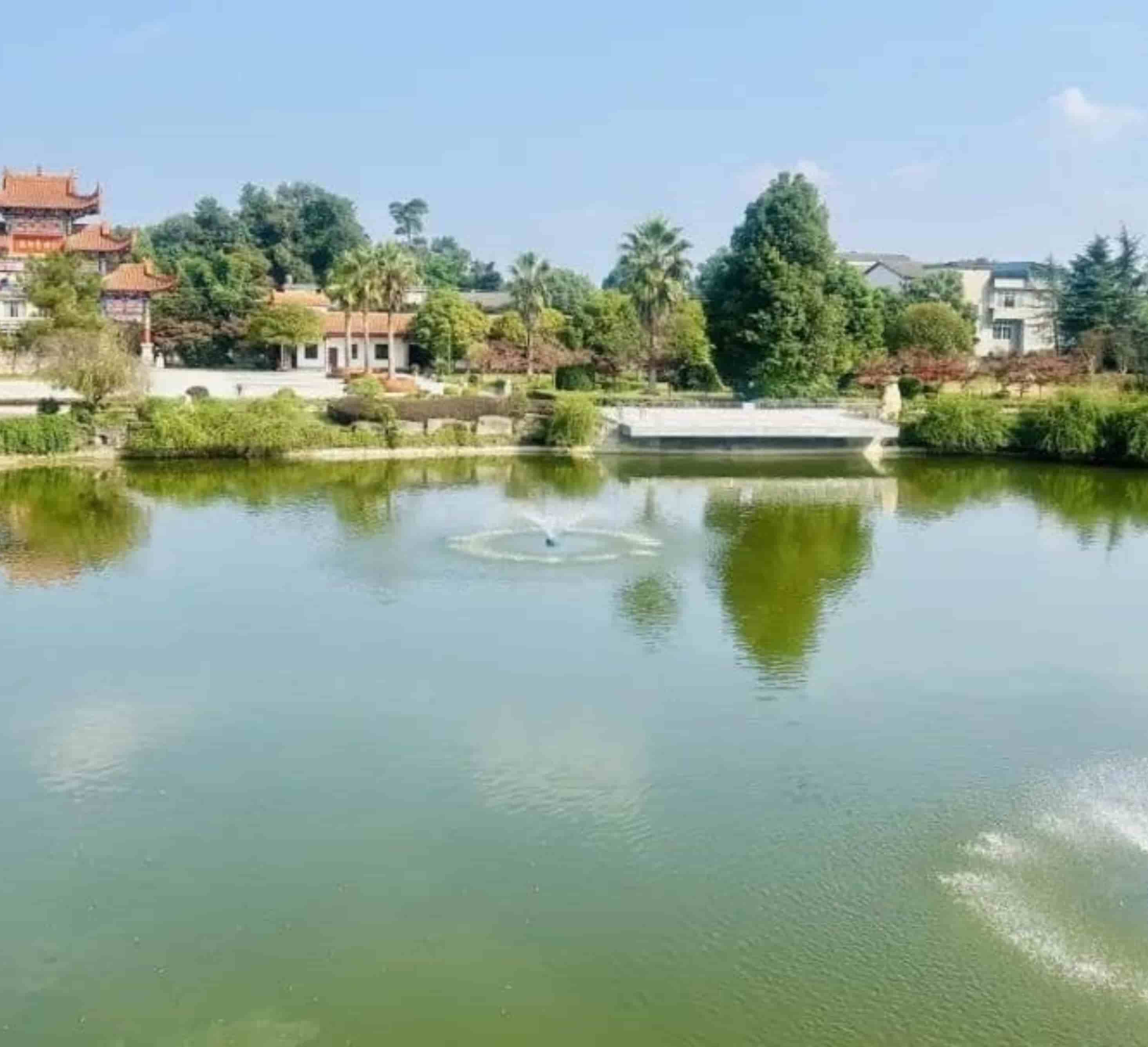 红枫艺术陵园公墓客服电话查询指南