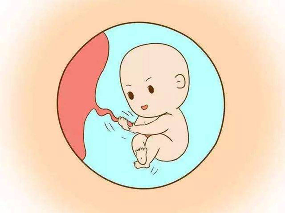 肥胖为什么会影响男性的正常生育？
